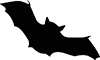 Cape Coral P-Fit